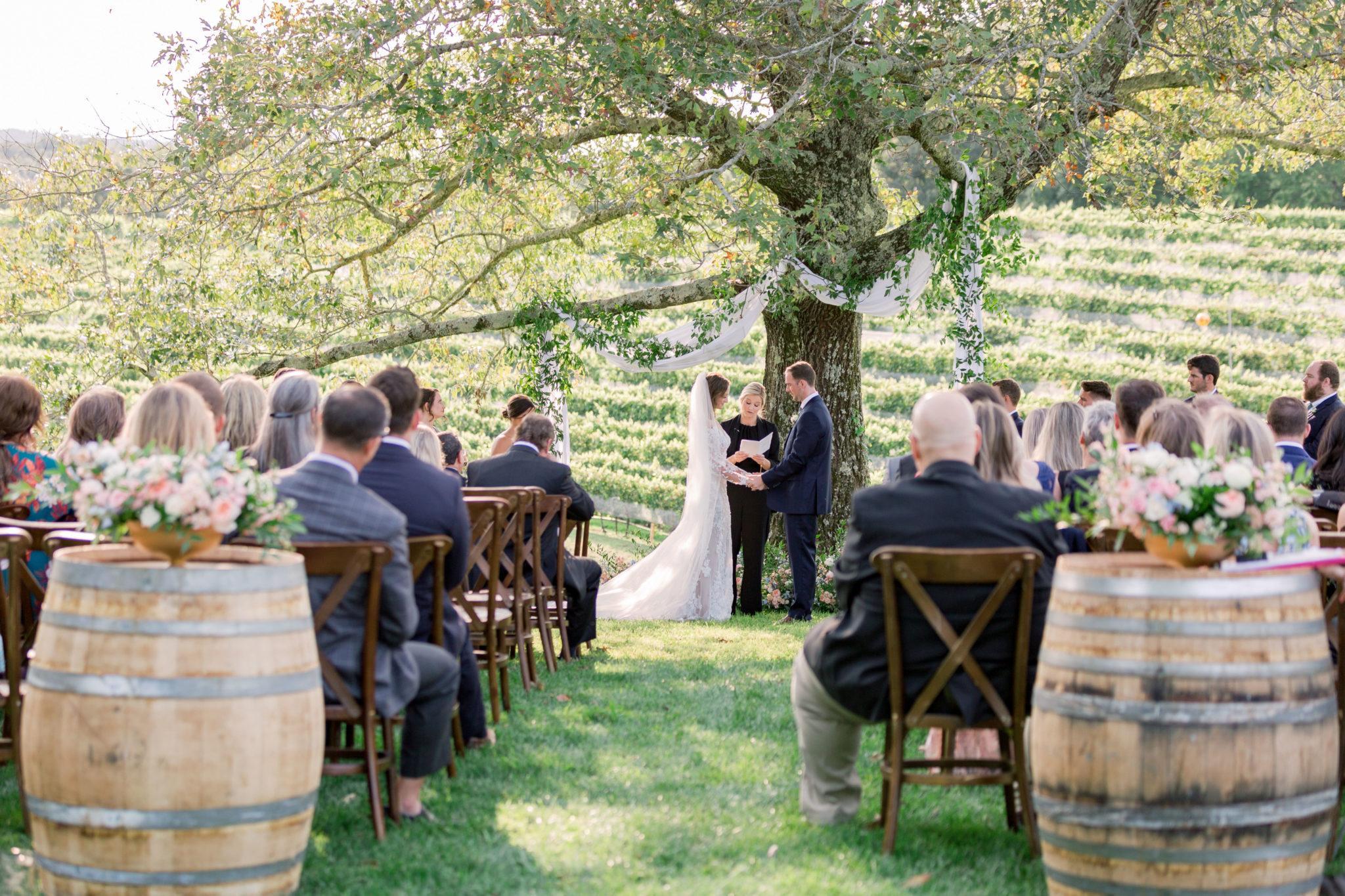 Jeannene Lillie Events | Wedding Planners | Cost, Reviews \u0026 Photos | Zola, image size:2048x1365