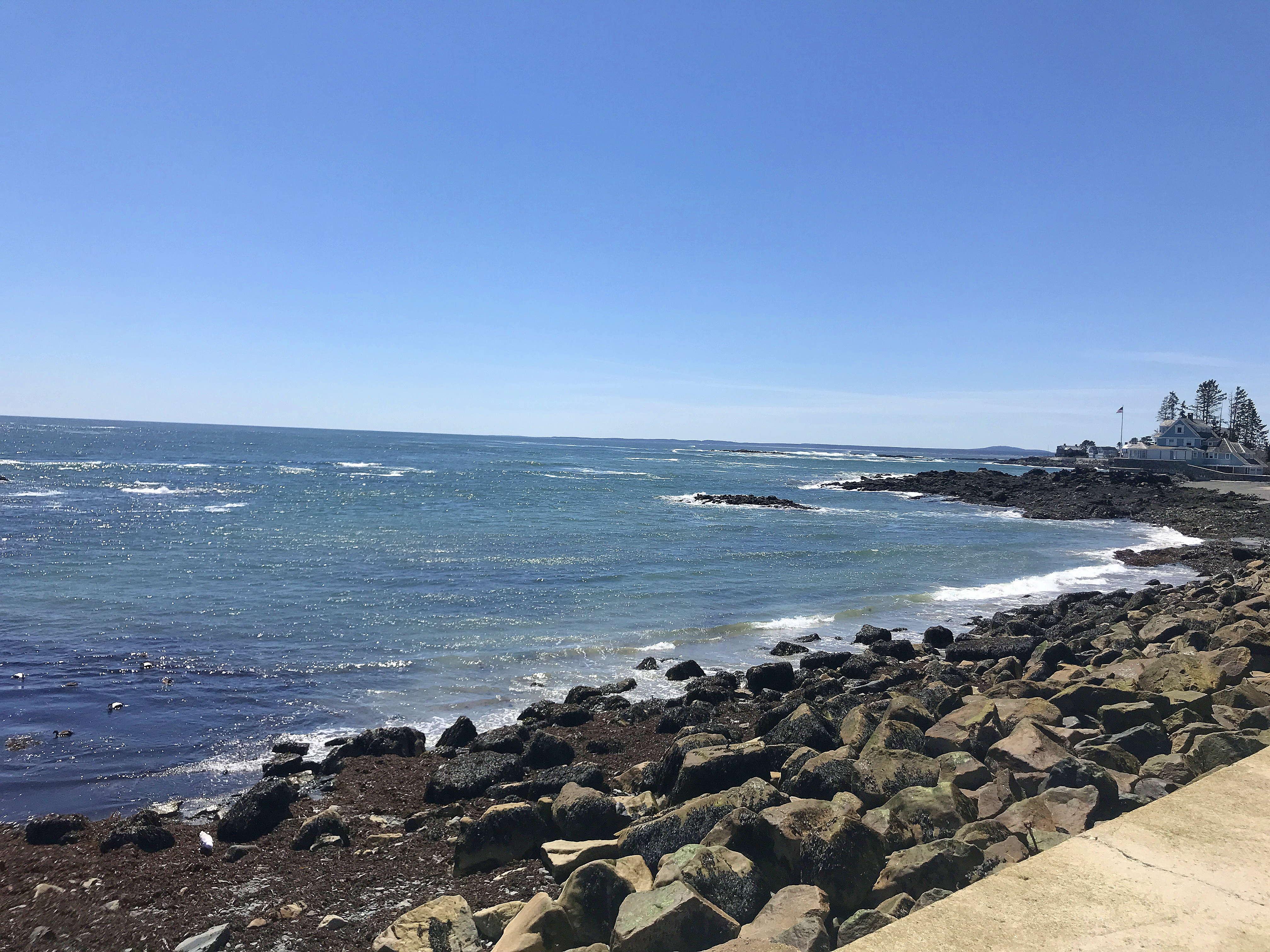 The Wedding Website of Liza Levison and Jonathan Anderson