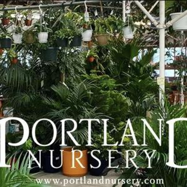 Portland Nursery (gift card)