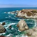 Bodega Head Trail