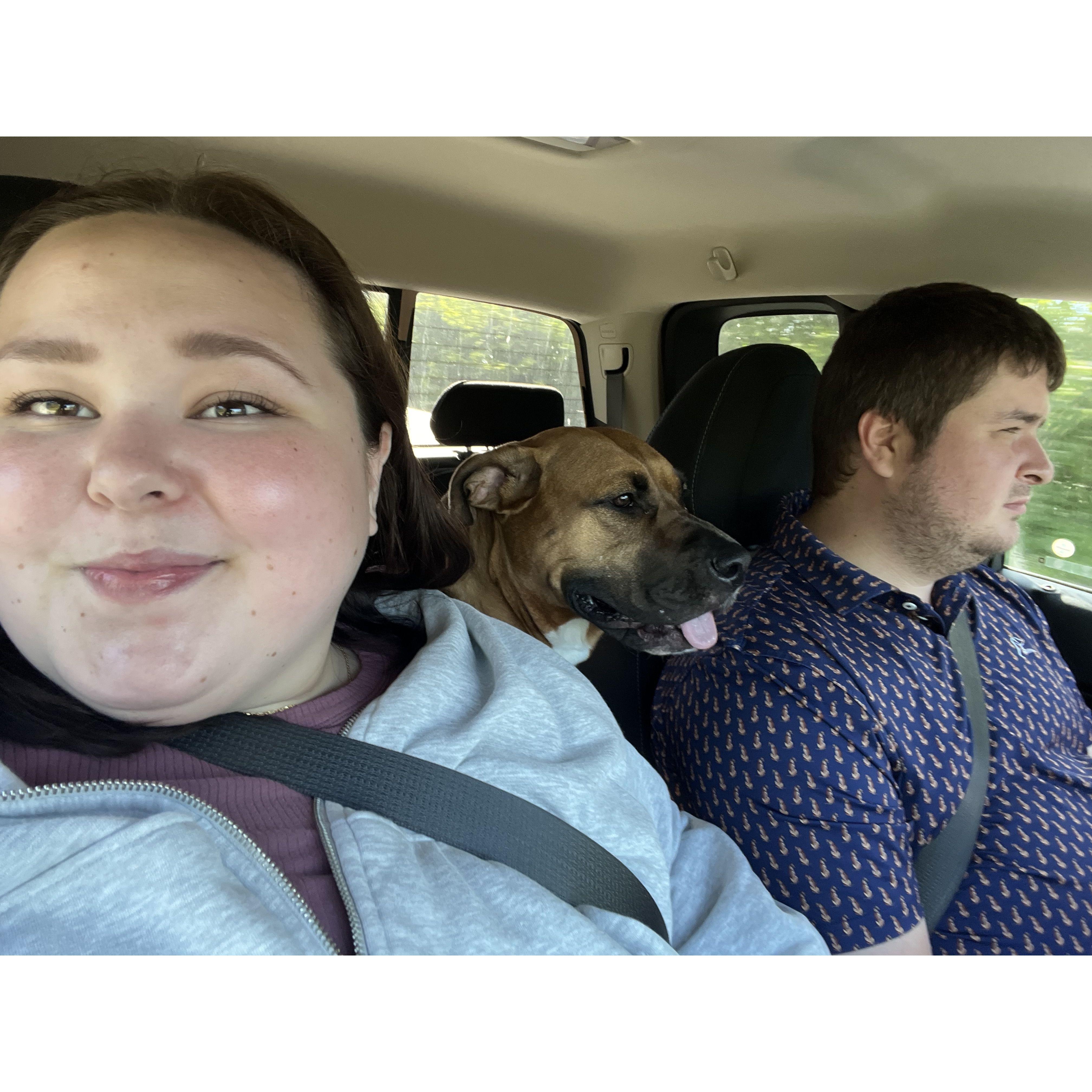 Traveling in the car with Millie is never boring. Here is a family photo taken on the way to Indiana to visit family