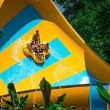 Water Country USA