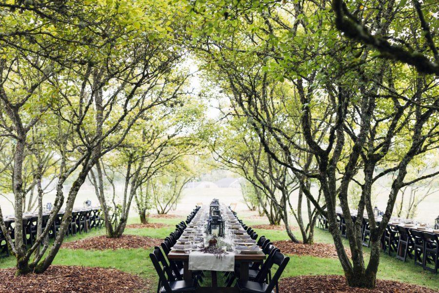 The Wedding Website of Mac Groves and Erin Leddy