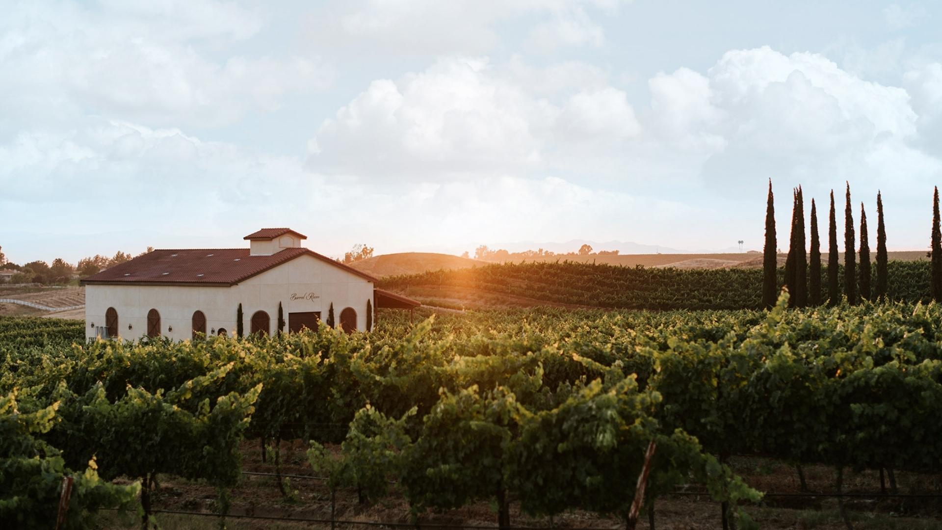 The Wedding Website of Kristina Chung and Shane Monnig