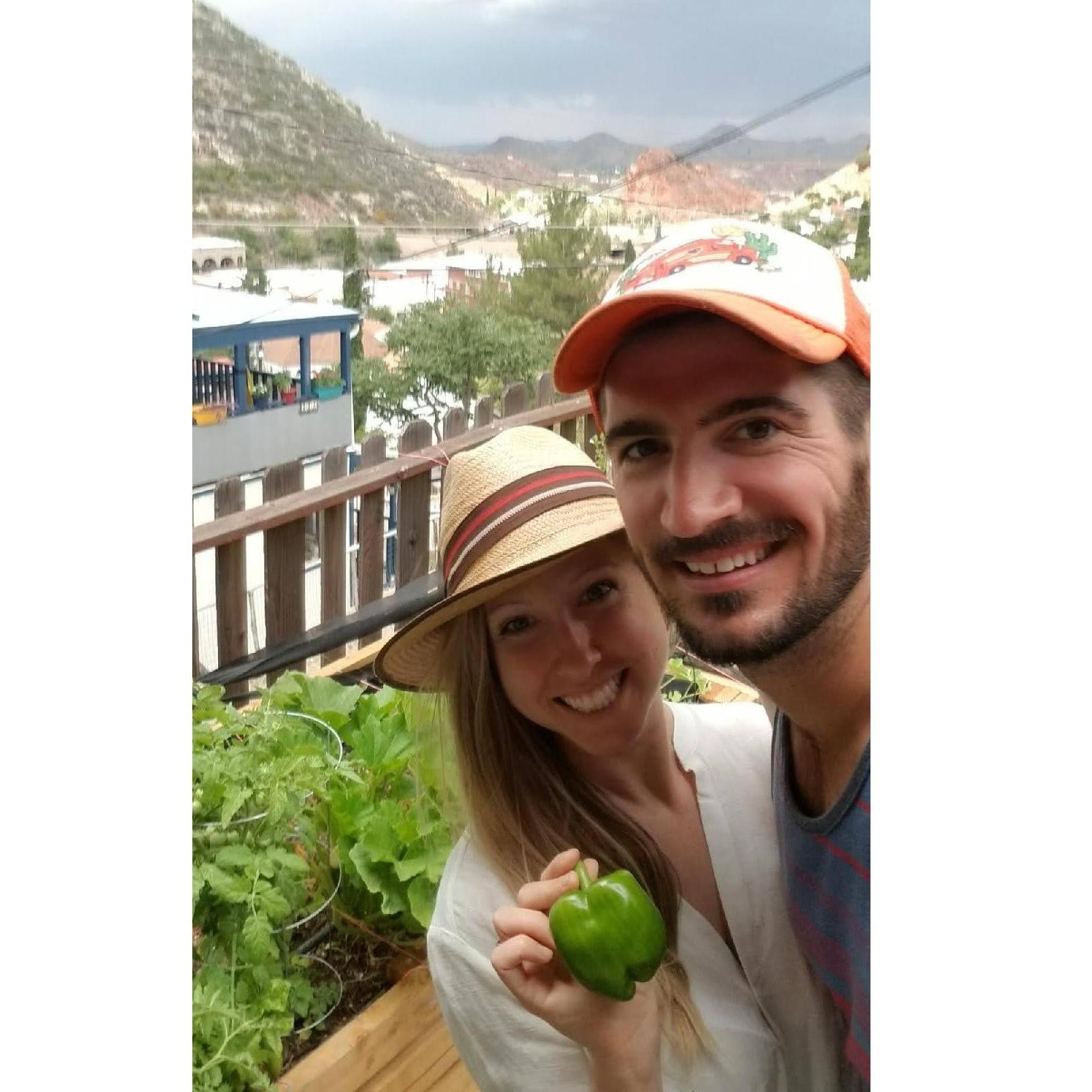 Our first harvest!