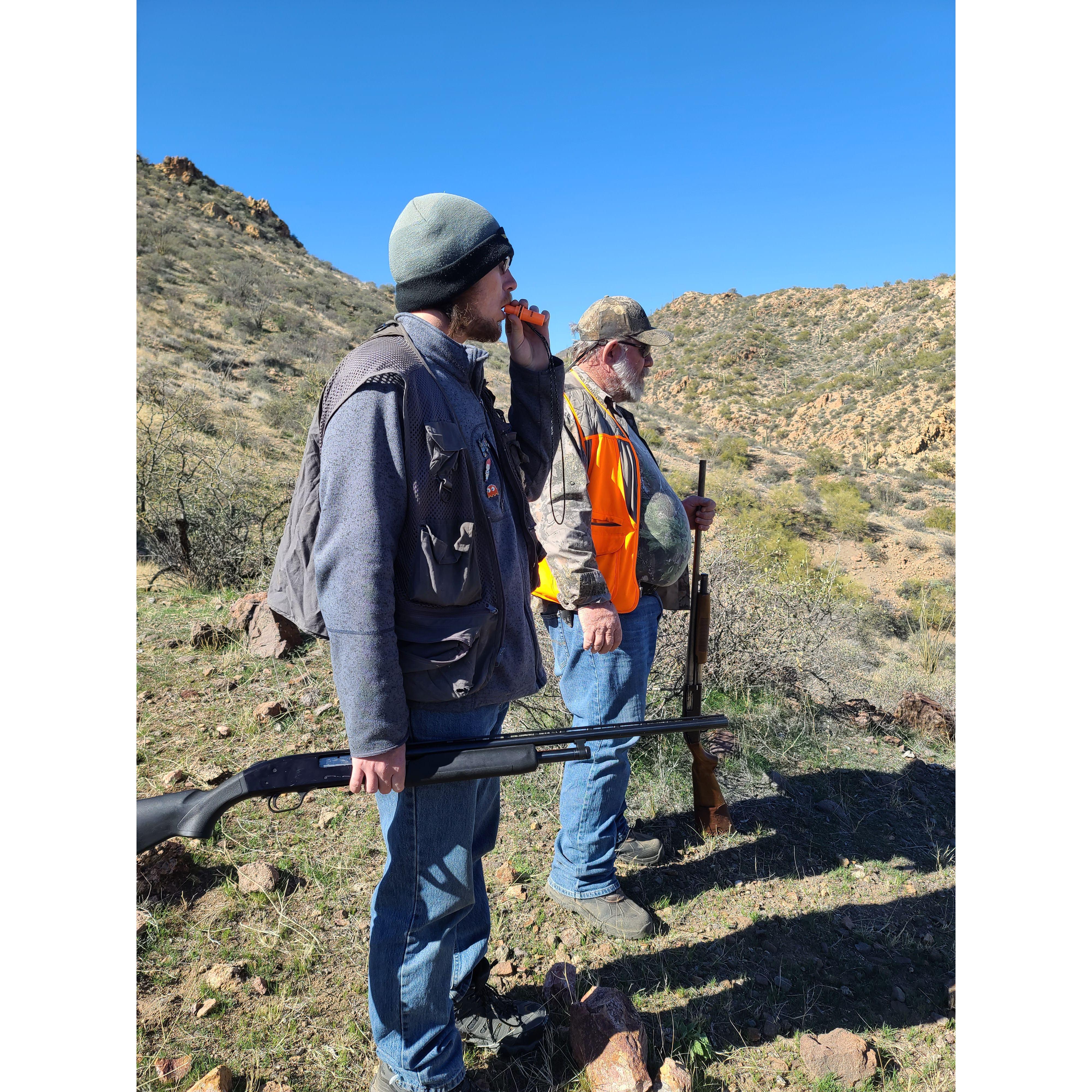 Even though Kars doesn't hunt often, he is a surprisingly a good quail rooster