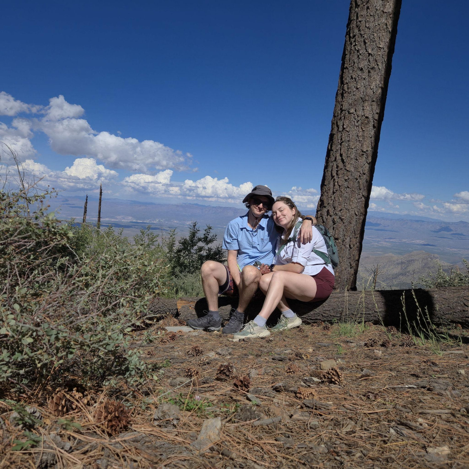 Mt Lemmon, 2025