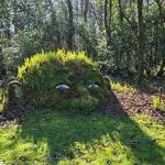 The Lost Gardens of Heligan