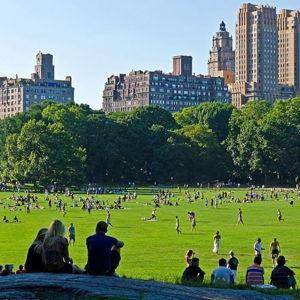 Central Park Picnic