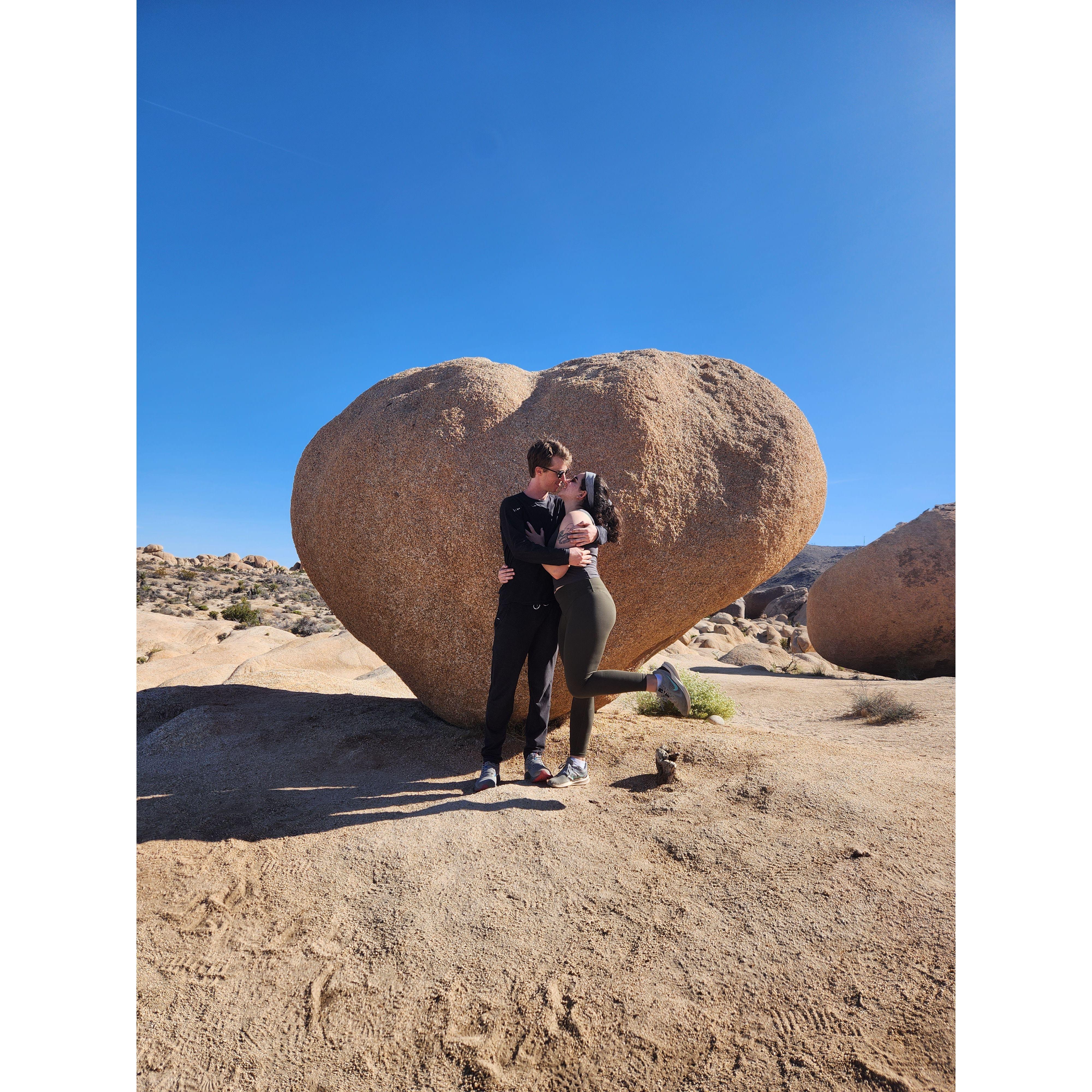 Joshua Tree (2023)
