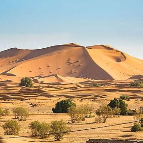 Sahara desert tour