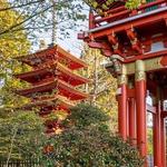 Japanese Tea Garden