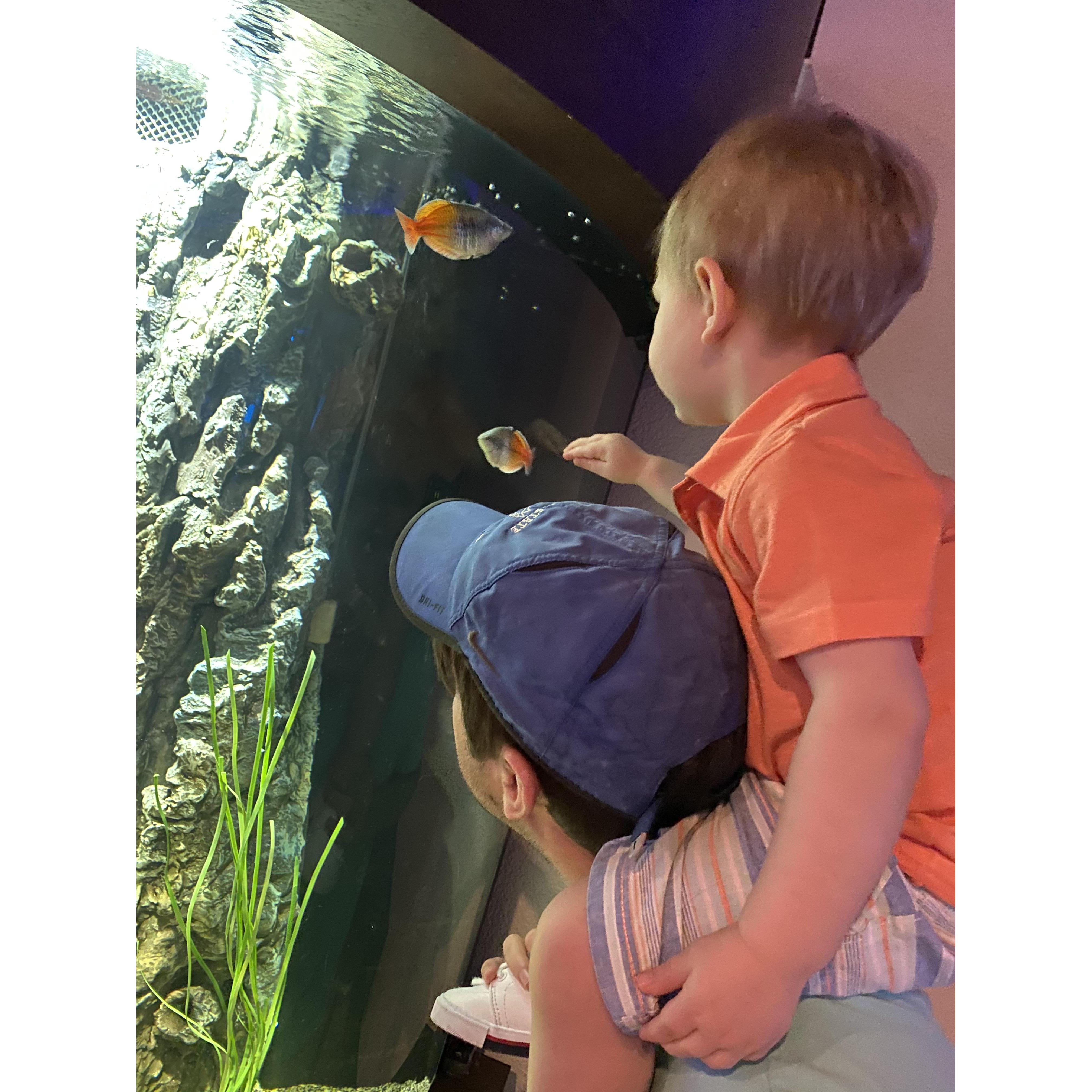 Our first vacation to Destin, Florida with Theodore