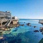 Monterey Bay Aquarium