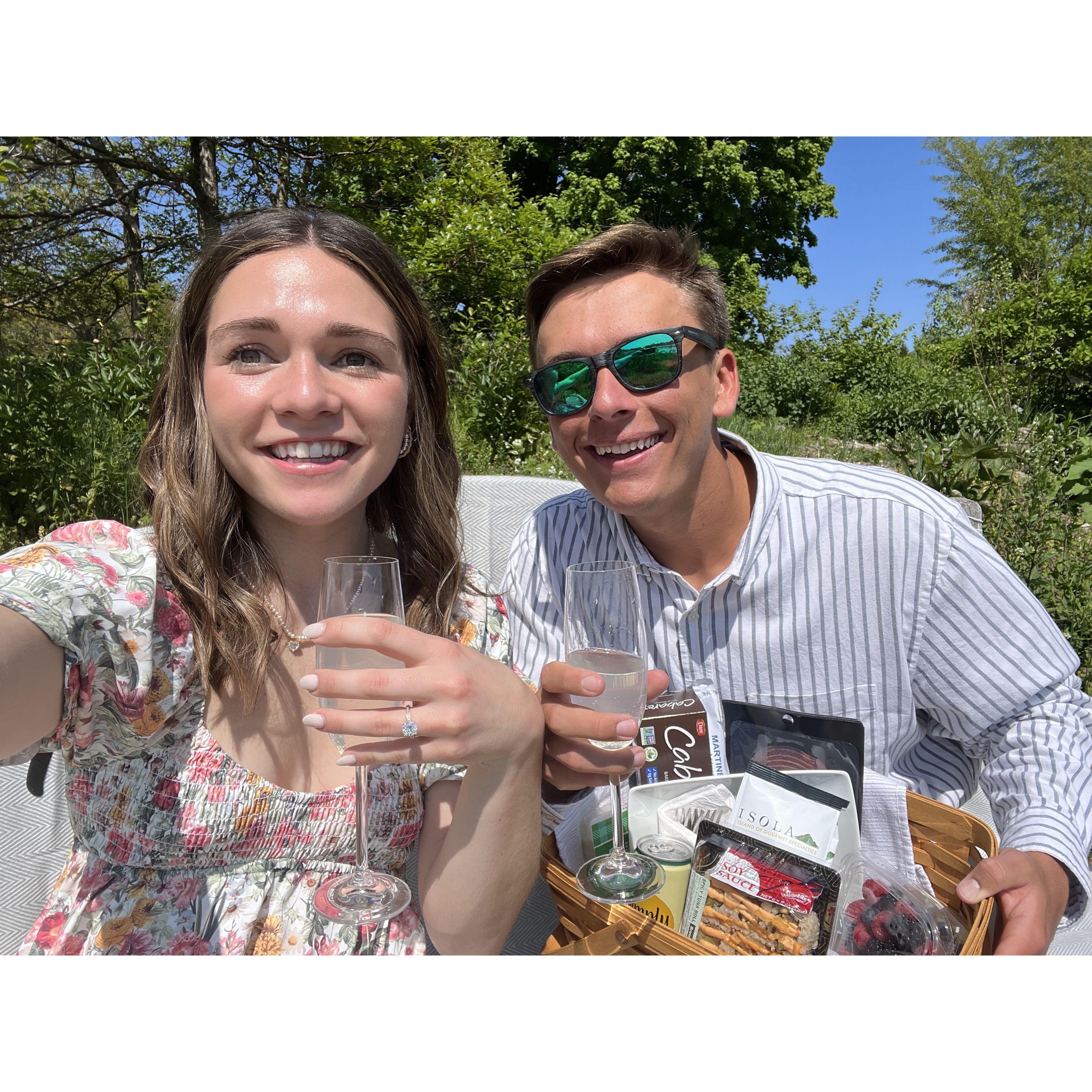 The one where they celebrated with a picnic pt. 2