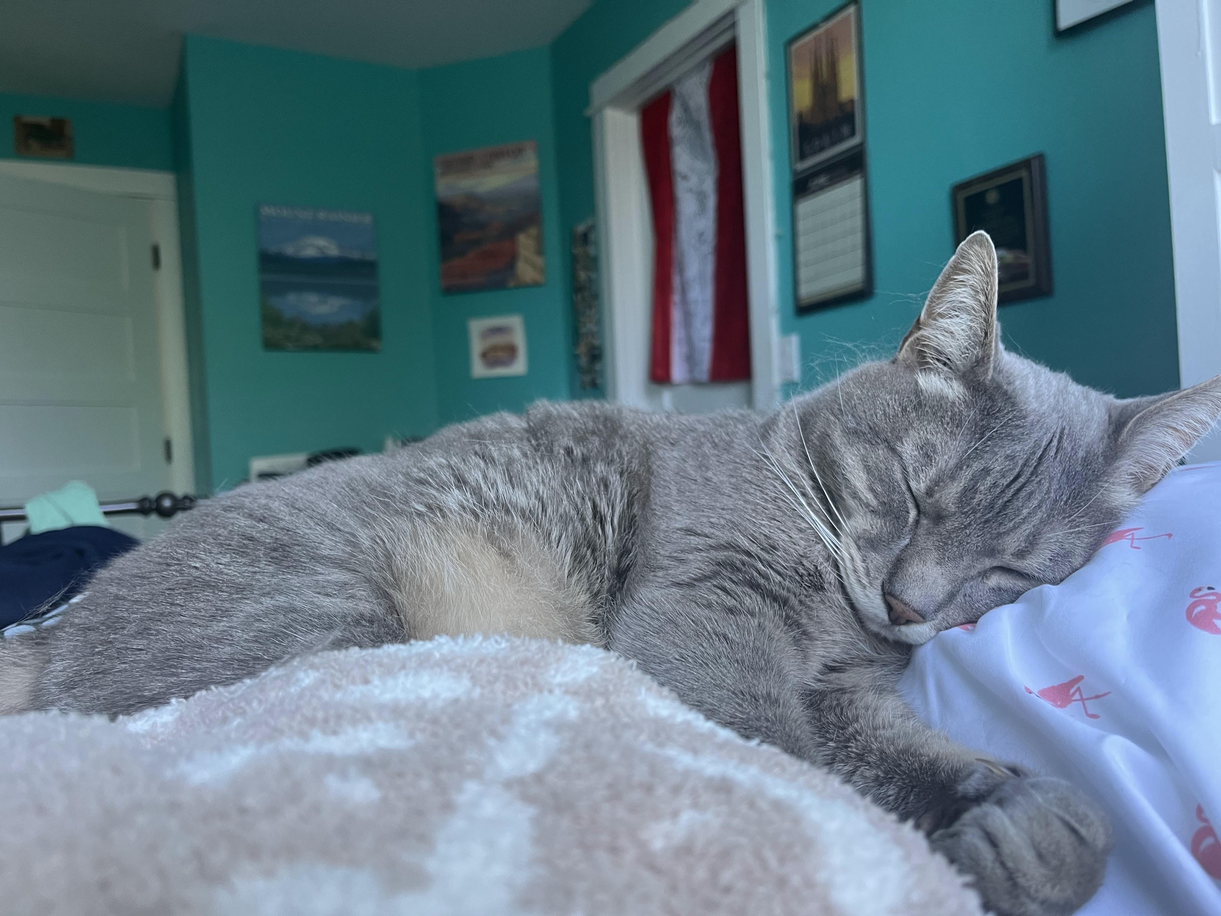 The Wedding Website of Natalie Unis and Kory Marlatt