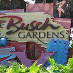Busch Gardens Tampa Bay