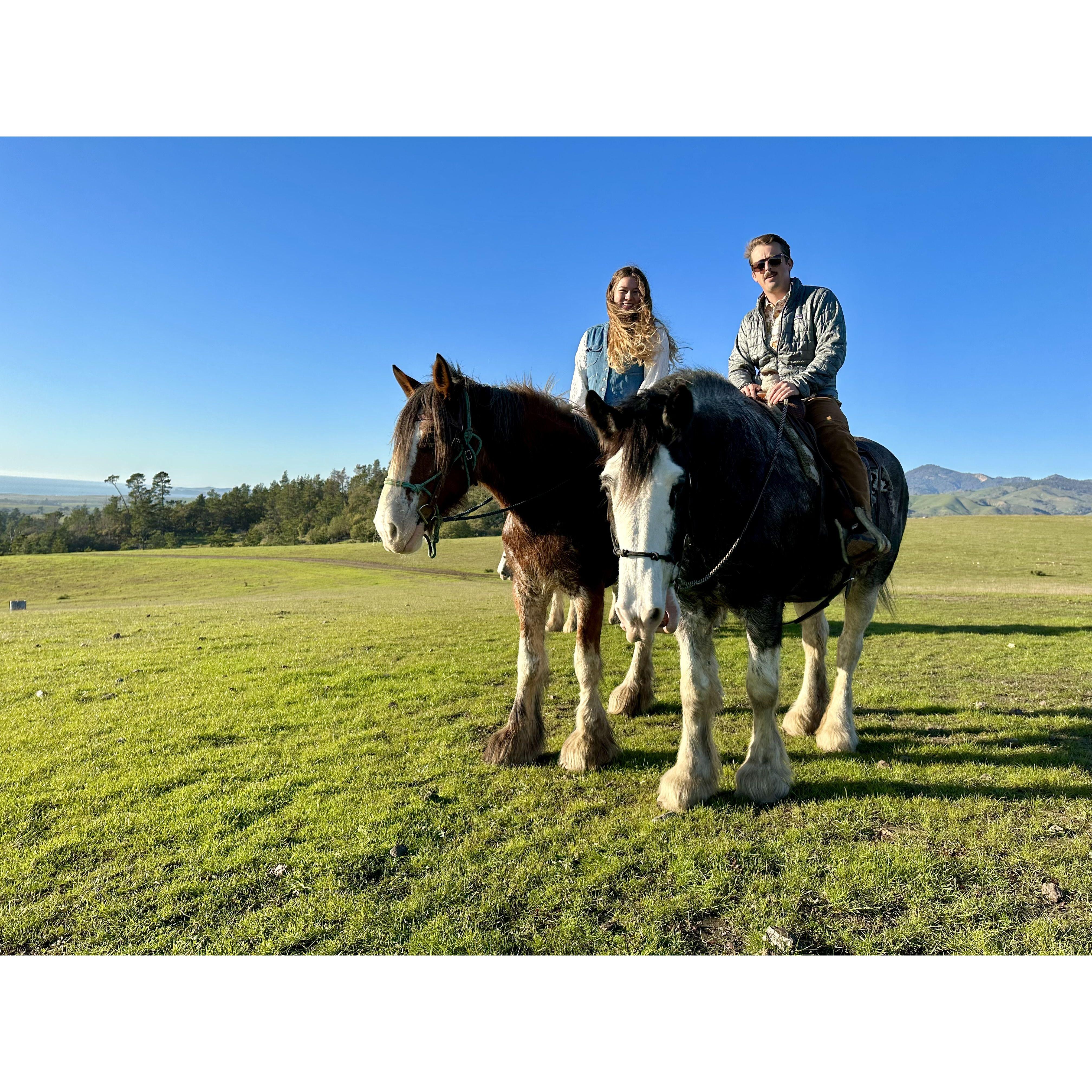 Riding Clydesdales together in Cambria, CA