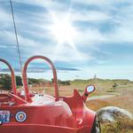 Susie's Moped Rentals