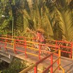 Bang Krachao Island