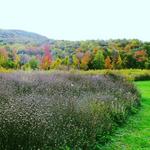 Hudson Highlands Nature Museum