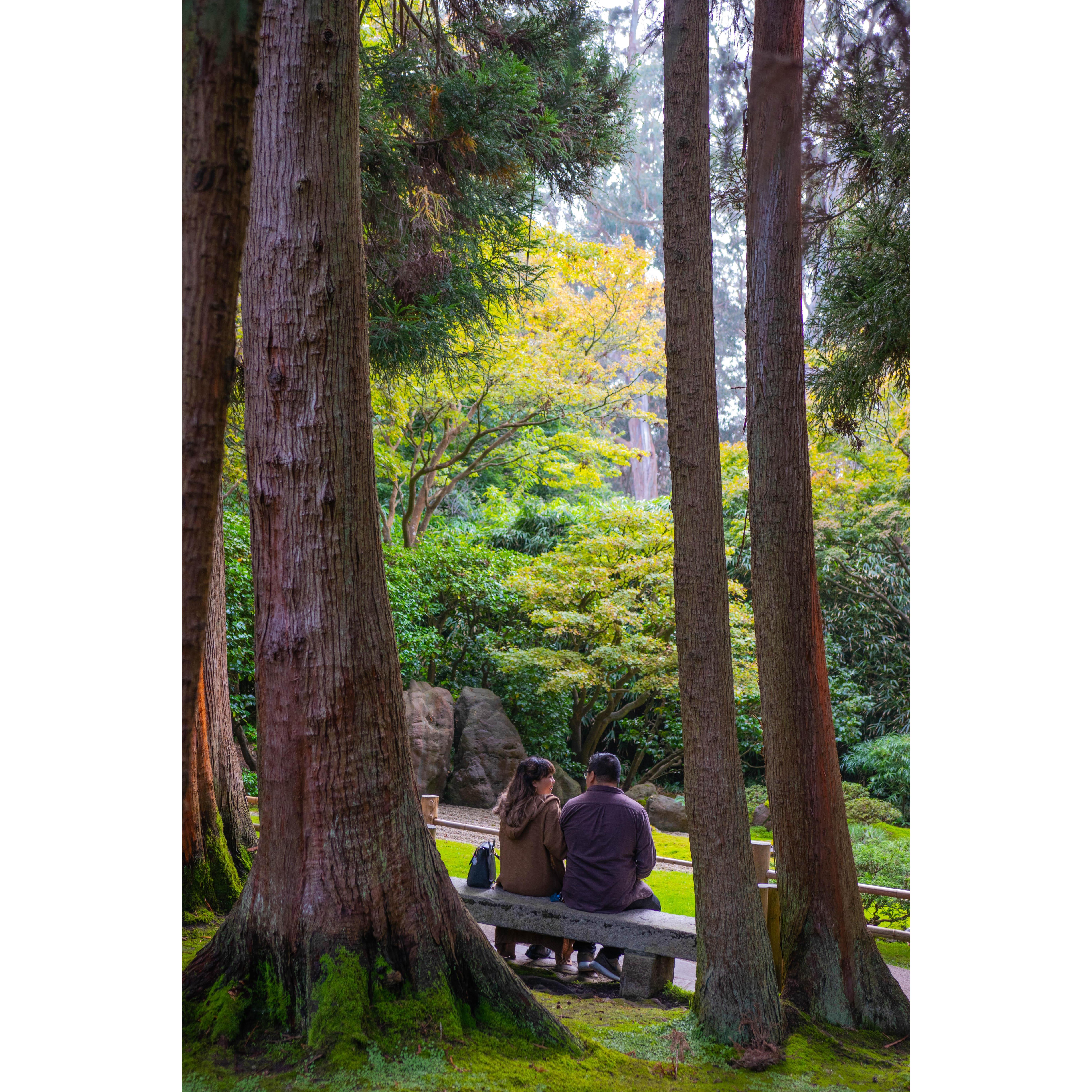 Japanese Tea Garden in SF!