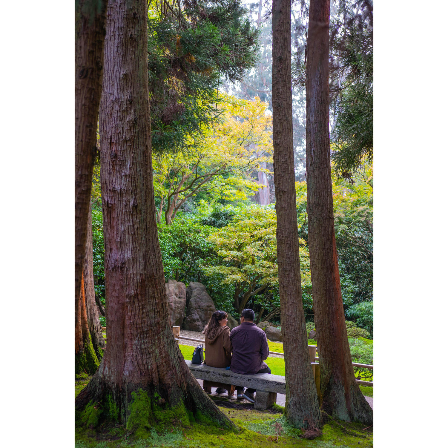 Japanese Tea Garden in SF!