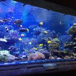 Riverhead Aquarium