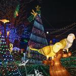 Lincoln Park Zoo Lights