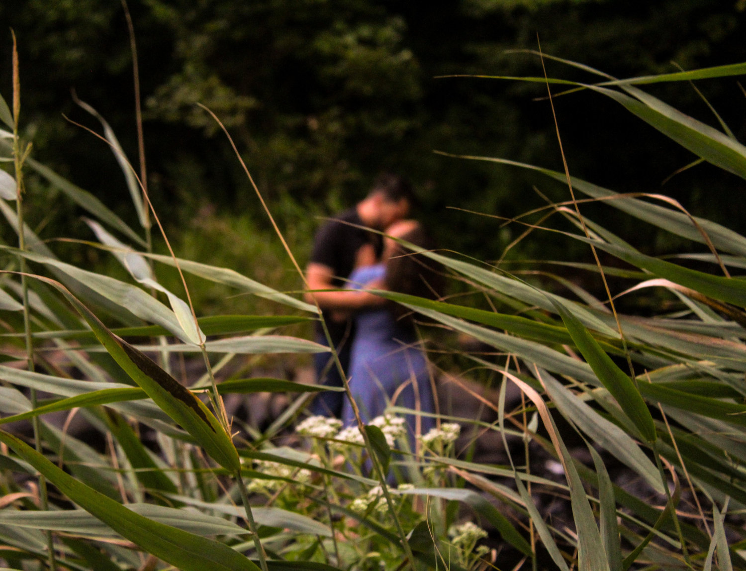 The Wedding Website of Jennifer Baxter and Shane Dixon II