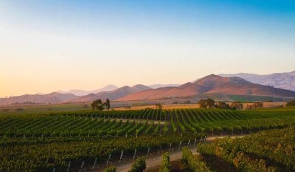 The Wedding Website of Ellie Moran and Nick Rudholm