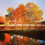 Hudson Pointe Nature Preserve