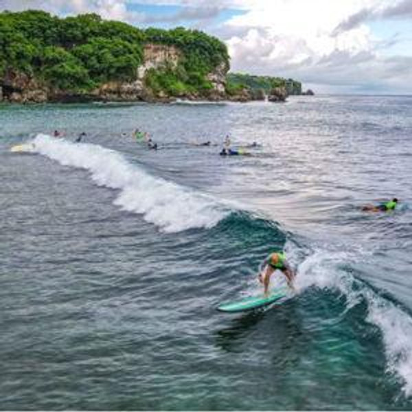 Surf Lessons