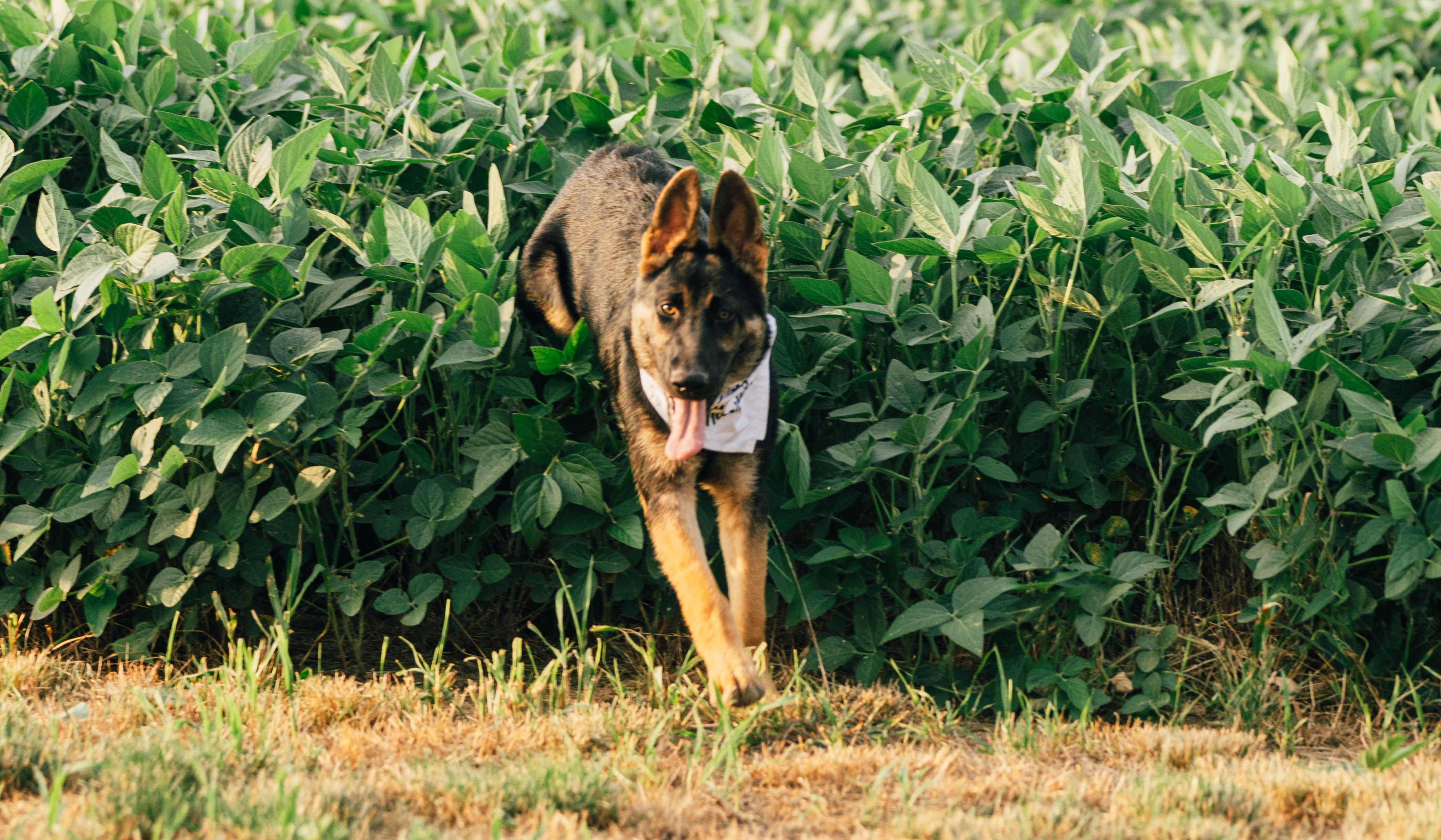 Hero Slideshow Image 2