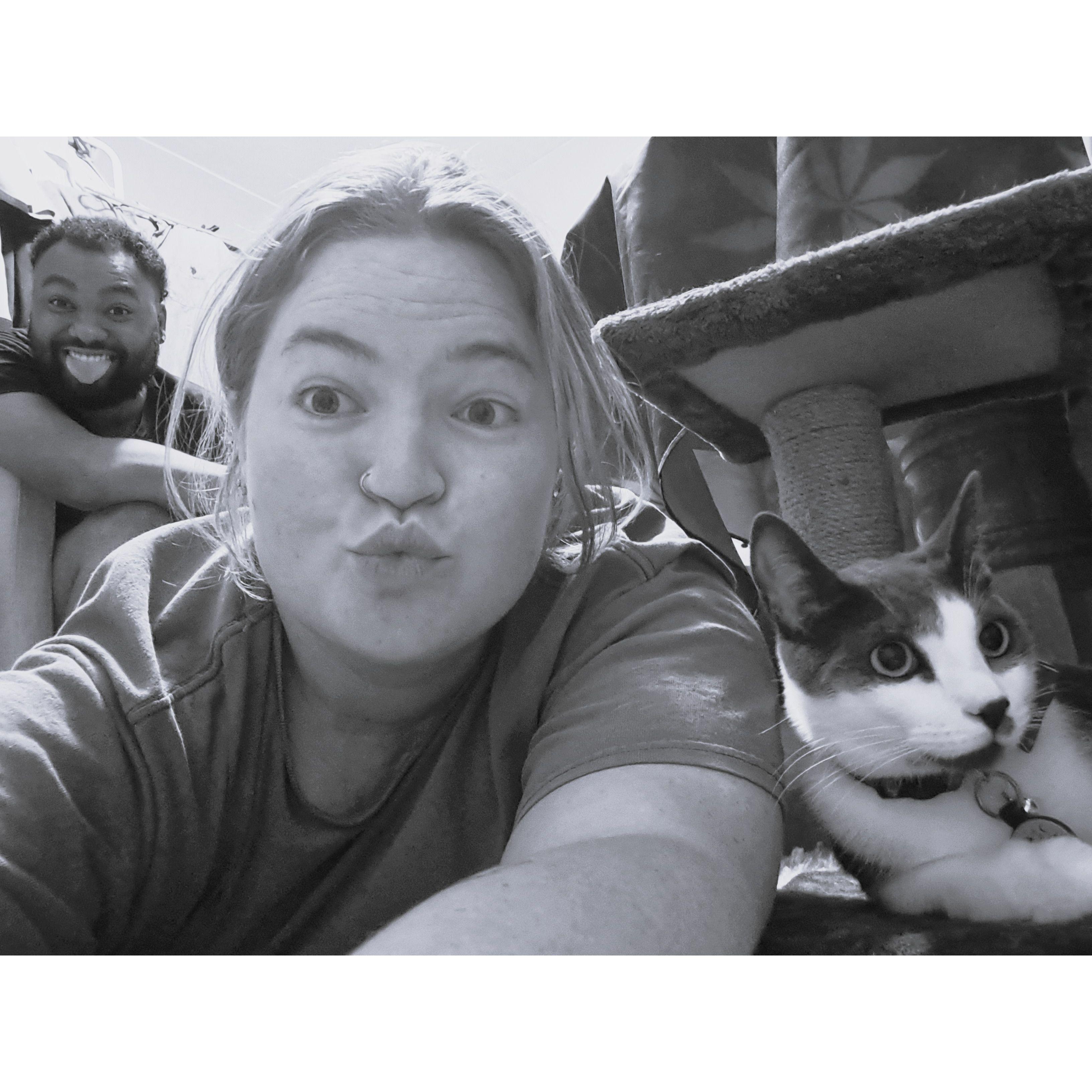 We caved and got a new addition to the family! Mushroom took a little time to warm up but he is now super comfortable, confident and literally the perfect cat- we tell him all the time