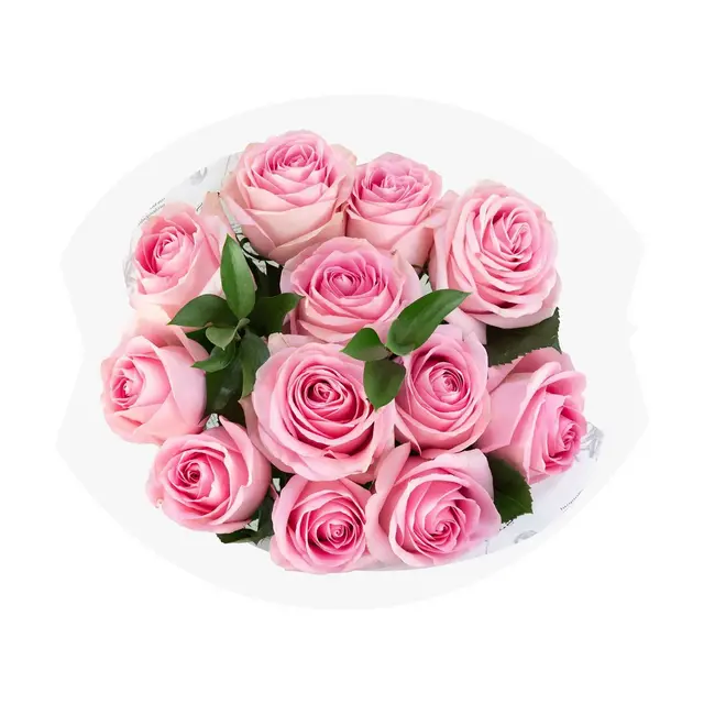 Dozen Fresh Cut Vibrant Pink Roses - Good Little Garden™