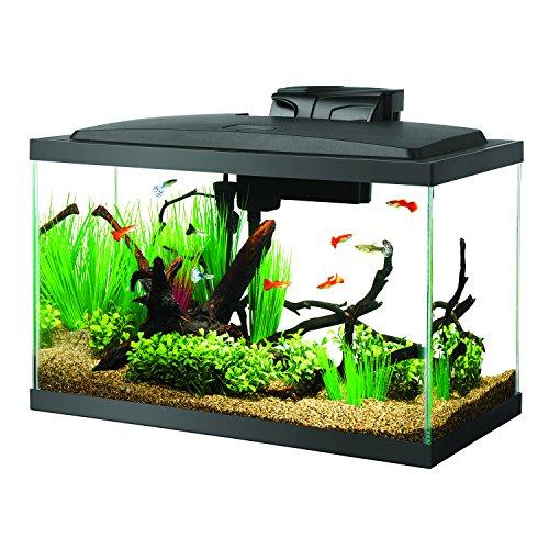 Aqueon 100527256 Fish Tank Aquarium LED Kit, 10 Gallon