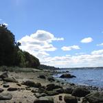 Garvies Point Museum & Preserve