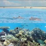 Wasini Island