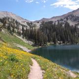 Wasatch Mountain State Park