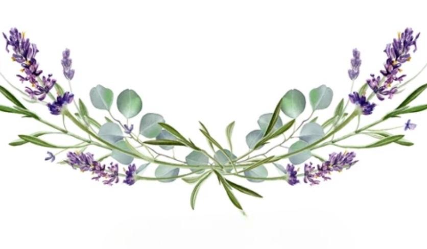 The Wedding Website of Sierra Bush and Carson Stocke