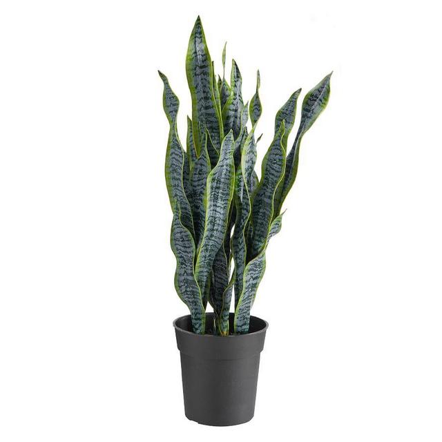 Faux Potted Houseplant, Snake Plant