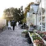 Rosendals Trädgårdskafé