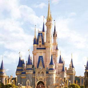 Our Walt Disney World Fund