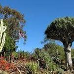 San Diego Botanic Garden