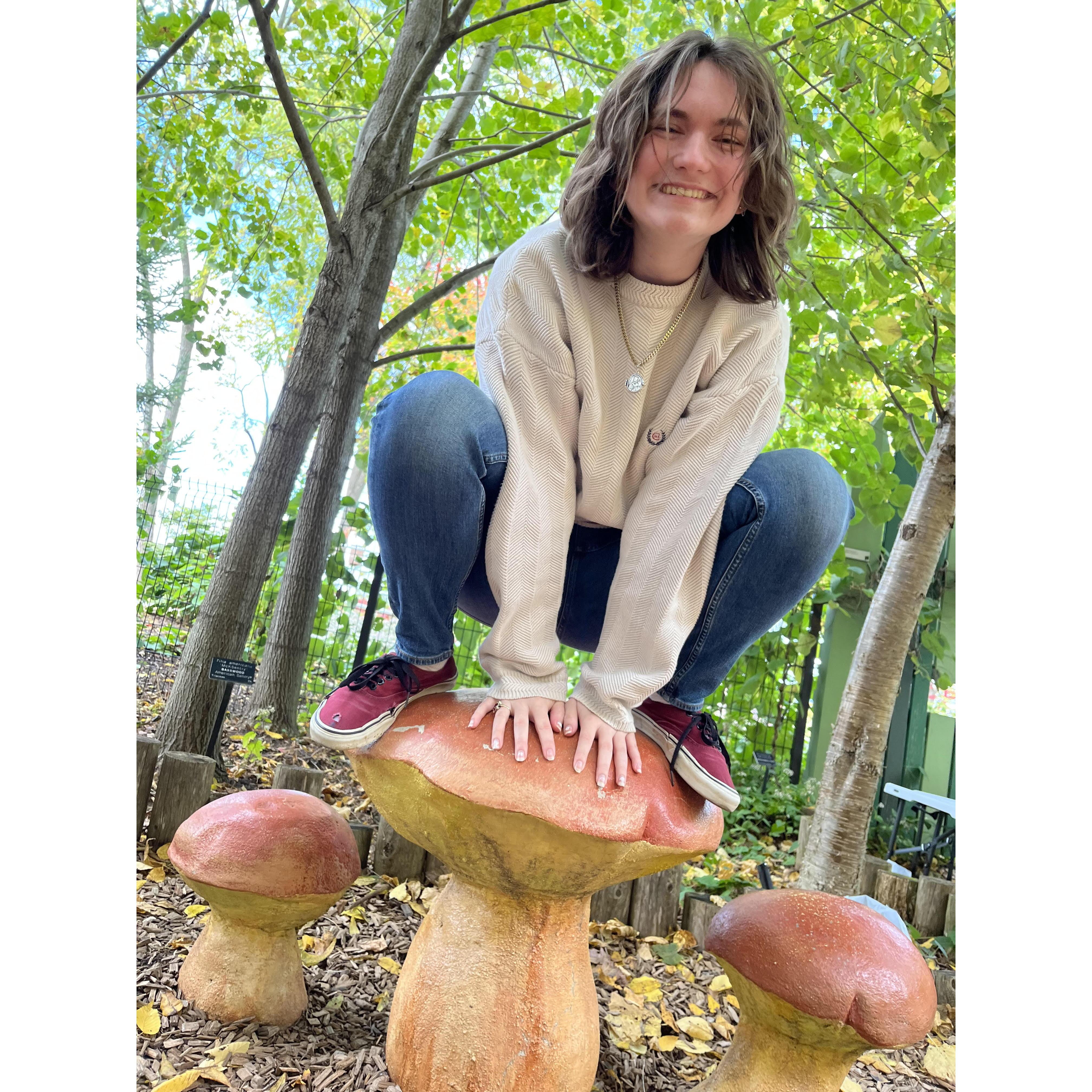 Penn State's Arboretum