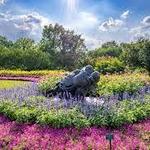 The Dallas Arboretum and Botanical Garden