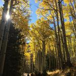 Inner Basin Trailhead