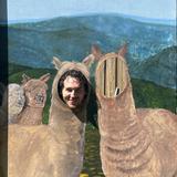 Buck Brook Alpacas