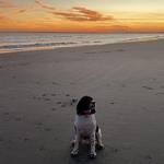 Beaches